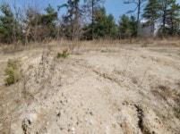 경매마당 경매정보 2021타경1075의 시세, 권리분석, 상세정보