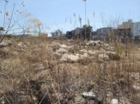 경매마당 경매정보 2021타경1075의 시세, 권리분석, 상세정보