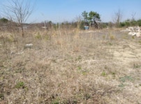 경매마당 경매정보 2021타경1075의 시세, 권리분석, 상세정보