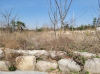 경매마당 경매정보 2021타경1075의 시세, 권리분석, 상세정보