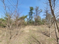 경매마당 경매정보 2021타경1075의 시세, 권리분석, 상세정보