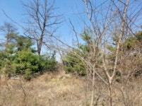 경매마당 경매정보 2021타경1075의 시세, 권리분석, 상세정보