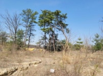 경매마당 경매정보 2021타경1075의 시세, 권리분석, 상세정보