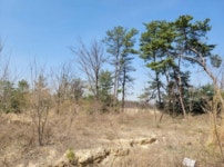 경매마당 경매정보 2021타경1075의 시세, 권리분석, 상세정보