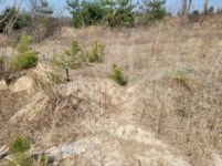 경매마당 경매정보 2021타경1075의 시세, 권리분석, 상세정보