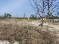 경매마당 경매정보 2021타경1075의 시세, 권리분석, 상세정보