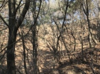 경매마당 경매정보 '2022타경30315'의 시세, 권리분석, 상세정보