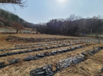 경매마당 경매정보 2022타경35808의 시세, 권리분석, 상세정보
