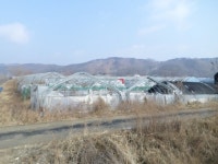 경매마당 경매정보 2021타경3634의 시세, 권리분석, 상세정보