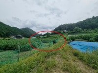 경매마당 경매정보 2022타경3496의 시세, 권리분석, 상세정보