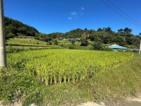 경매마당 경매정보 2022타경4512의 시세, 권리분석, 상세정보