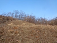 경매마당 경매정보 2022타경50478의 시세, 권리분석, 상세정보