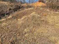 경매마당 경매정보 2022타경50478의 시세, 권리분석, 상세정보