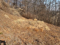 경매마당 경매정보 2022타경50478의 시세, 권리분석, 상세정보