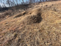 경매마당 경매정보 2022타경50478의 시세, 권리분석, 상세정보