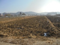 경매마당 경매정보 2023타경50의 시세, 권리분석, 상세정보