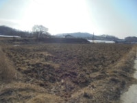 경매마당 경매정보 2023타경203의 시세, 권리분석, 상세정보