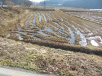 경매마당 경매정보 2021타경33646의 시세, 권리분석, 상세정보