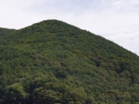 경매마당 경매정보 '2022타경59727'의 시세, 권리분석, 상세정보