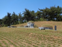 경매마당 경매정보 2019타경16034의 시세, 권리분석, 상세정보
