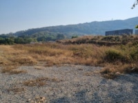 경매마당 경매정보 2021타경3376의 시세, 권리분석, 상세정보