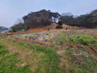 경매마당 경매정보 2021타경201의 시세, 권리분석, 상세정보
