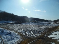 경매마당 경매정보 2022타경50098의 시세, 권리분석, 상세정보