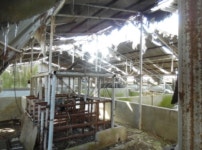 경매마당 경매정보 2022타경50098의 시세, 권리분석, 상세정보