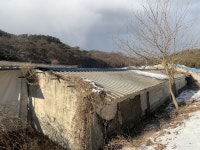 경매마당 경매정보 2022타경50098의 시세, 권리분석, 상세정보
