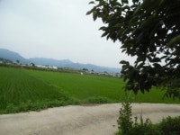 경매마당 경매정보 2022타경53547의 시세, 권리분석, 상세정보