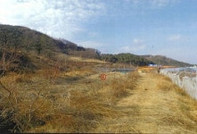 경매마당 경매정보 2021타경114174의 시세, 권리분석, 상세정보