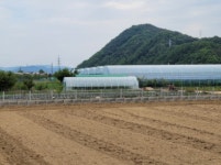 경매마당 경매정보 2022타경502084의 시세, 권리분석, 상세정보