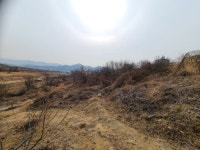 경매마당 경매정보 2022타경101663의 시세, 권리분석, 상세정보