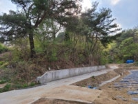 경매마당 경매정보 2022타경100854의 시세, 권리분석, 상세정보