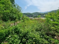경매마당 경매정보 2022타경929의 시세, 권리분석, 상세정보