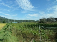 경매마당 경매정보 2022타경14300의 시세, 권리분석, 상세정보