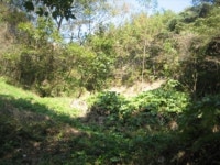 경매마당 경매정보 2019타경72309의 시세, 권리분석, 상세정보