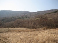 경매마당 경매정보 2021타경70238의 시세, 권리분석, 상세정보