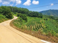 경매마당 경매정보 2022타경885의 시세, 권리분석, 상세정보
