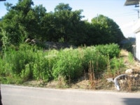 경매마당 경매정보 2022타경70952의 시세, 권리분석, 상세정보