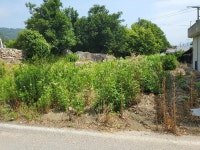 경매마당 경매정보 2022타경70952의 시세, 권리분석, 상세정보