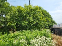 경매마당 경매정보 2022타경70952의 시세, 권리분석, 상세정보