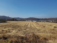 경매마당 경매정보 2022타경10697의 시세, 권리분석, 상세정보