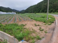 경매마당 경매정보 '2021타경10652'의 시세, 권리분석, 상세정보