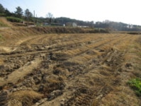 경매마당 경매정보 2021타경34644의 시세, 권리분석, 상세정보