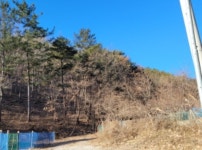 경매마당 경매정보 2022타경4830의 시세, 권리분석, 상세정보
