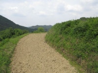 경매마당 경매정보 2021타경1770의 시세, 권리분석, 상세정보