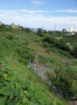 경매마당 경매정보 2020타경9857의 시세, 권리분석, 상세정보