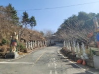 경매마당 경매정보 2023타경209의 시세, 권리분석, 상세정보