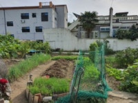 경매마당 경매정보 2020타경11250의 시세, 권리분석, 상세정보